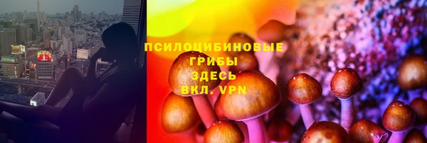 PSILOCYBIN Нягань