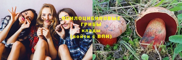 не бодяженный Няндома