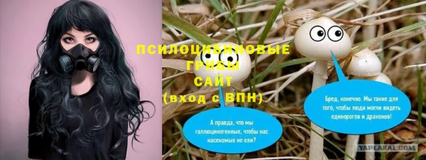 PSILOCYBIN Нягань