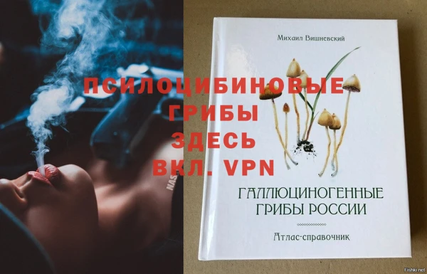 не бодяженный Няндома
