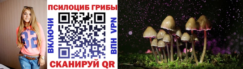 Псилоцибиновые грибы мухоморы ссылка на мегу зеркало Шлиссельбург